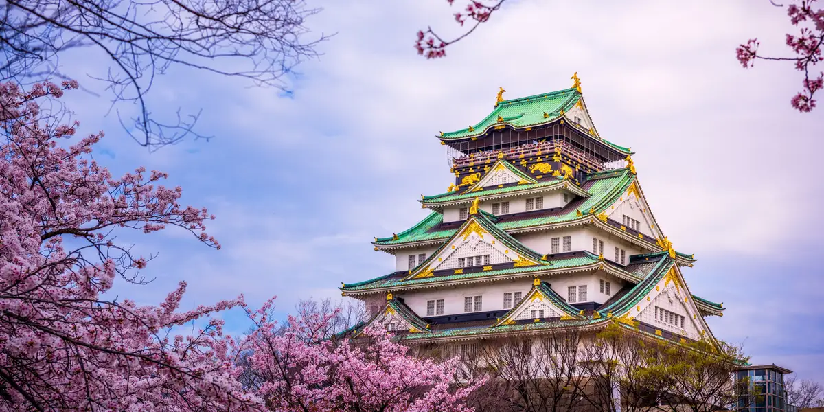 UN MUNDO DE SABORES ESPECIAL JAPÓN