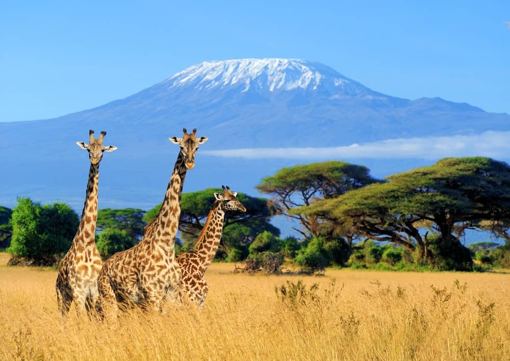 VIAJES CAM 2025 -  KENIA